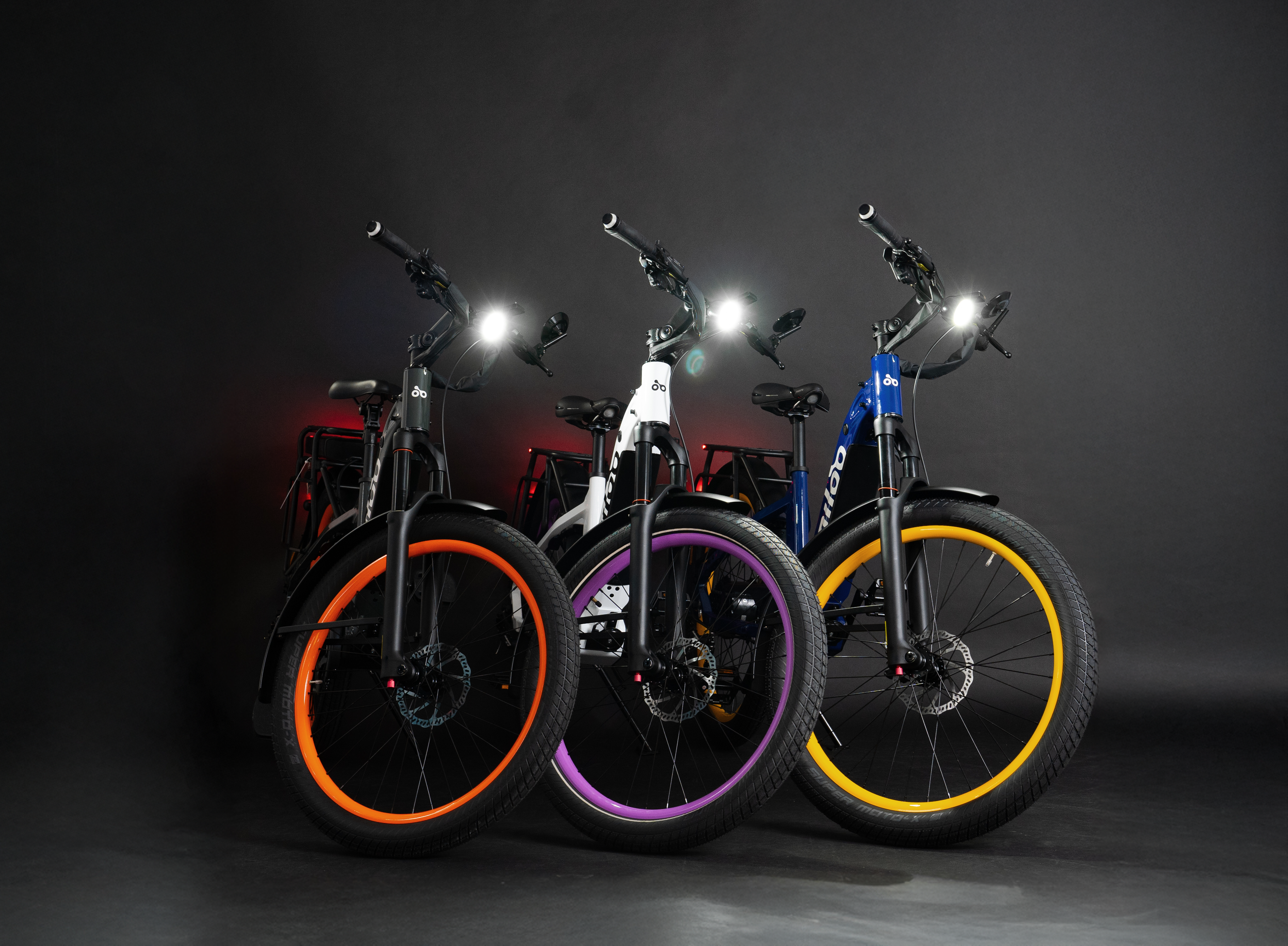 Miloo_Studio_Flotte 3.png